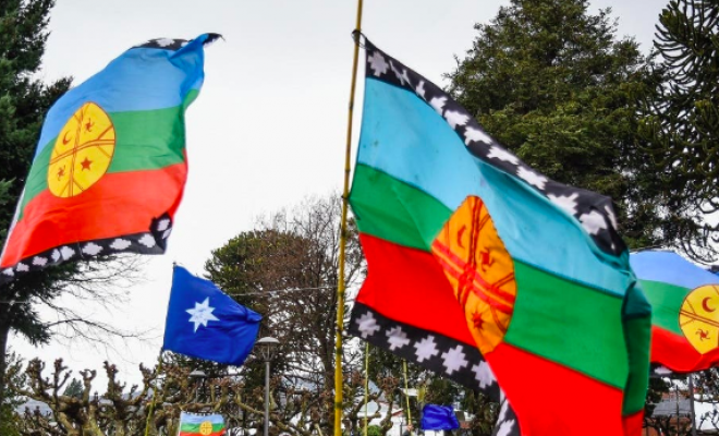 CAM reivindica a Pablo Marchant, critica presencia mapuche en la Convención y se adjudica una veintena de ataques