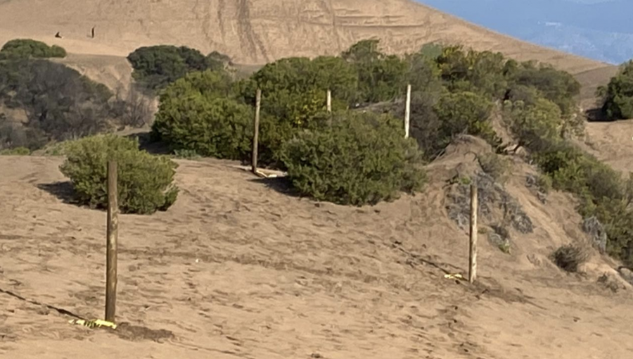 Corte acoge recurso contra Reconsa y paraliza obras en las áreas verdes del Campo Dunar de Concón