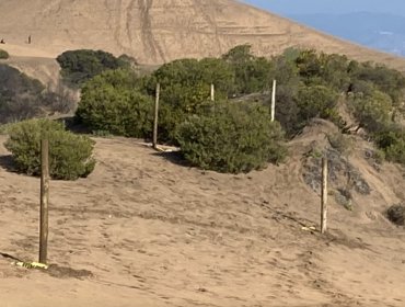 Corte acoge recurso contra Reconsa y paraliza obras en las áreas verdes del Campo Dunar de Concón