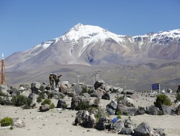 Tarapacá: Incautan más de 15 millones de dólares en droga en sector fronterizo