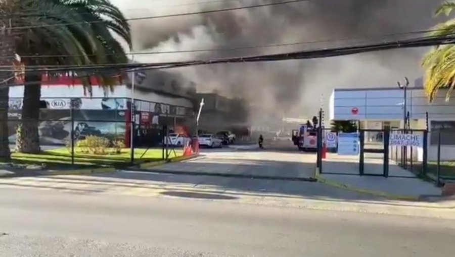 Gigantesco incendio afecta a bodegas de Automotora Rosselot en Viña del Mar: Al menos 10 vehículos quemados