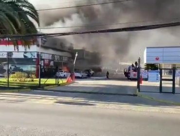Gigantesco incendio afecta a bodegas de Automotora Rosselot en Viña del Mar: Al menos 10 vehículos quemados