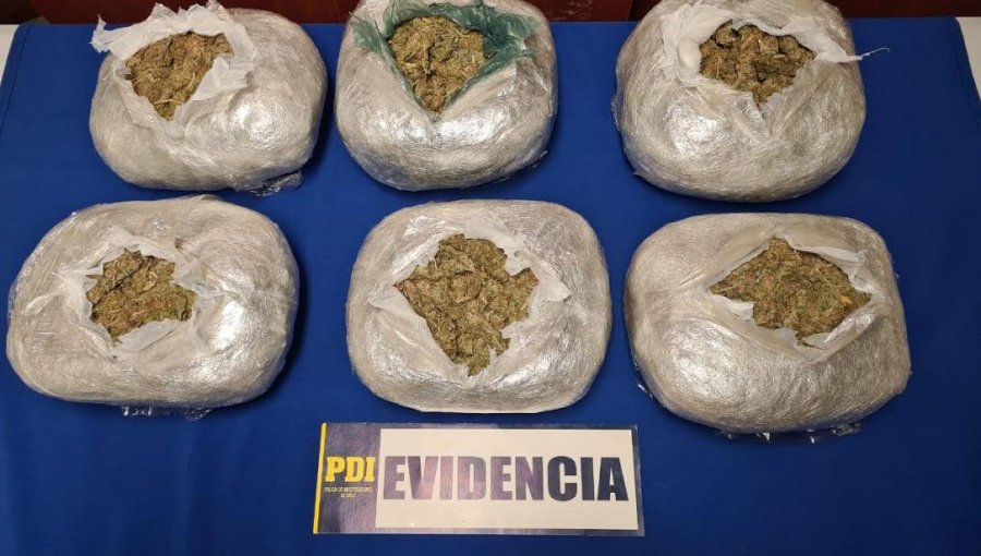 PDI La Calera detuvo a sujeto que intentó darse a la fuga con 6.580 dosis de droga