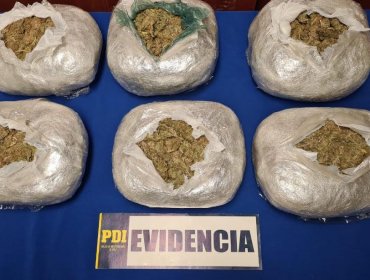 PDI La Calera detuvo a sujeto que intentó darse a la fuga con 6.580 dosis de droga