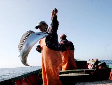 Comisión de Pesca de la Cámara busca incluir a pescadores artesanales en Bono Pyme