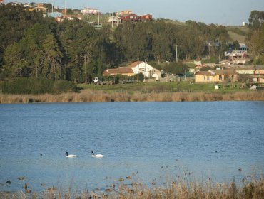 El Tabo: Santuario de la Naturaleza Laguna El Peral reabrió sus puertas al público