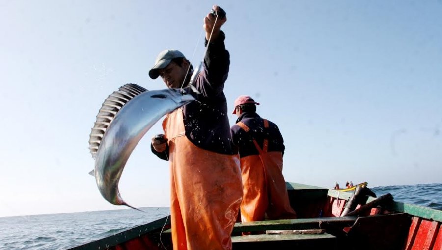 Comisión de Pesca de la Cámara busca incluir a pescadores artesanales en Bono Pyme