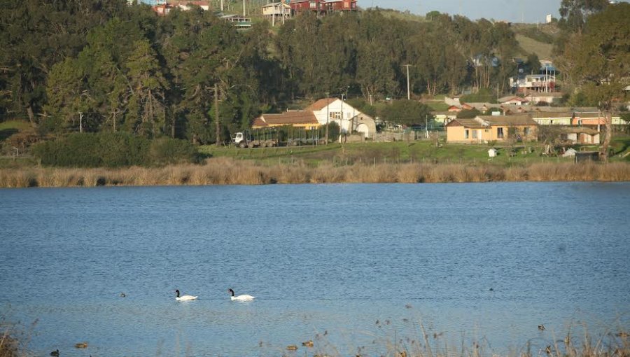 El Tabo: Santuario de la Naturaleza Laguna El Peral reabrió sus puertas al público