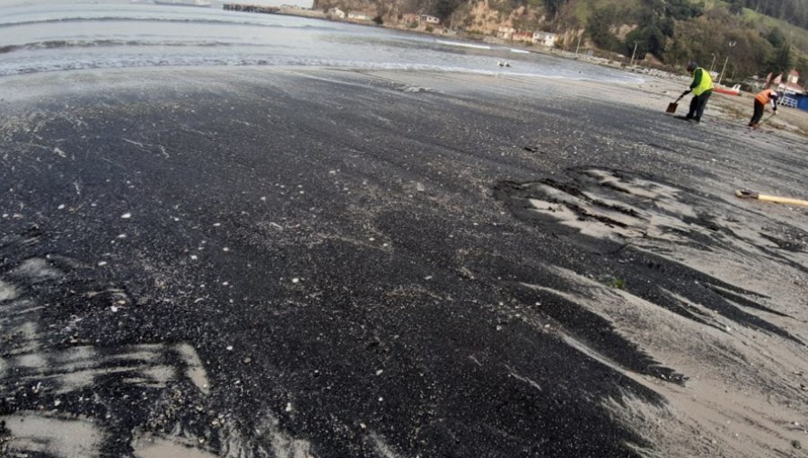 Ofician a la Superintendencia del Medio Ambiente por nuevo varamiento de carbón en Quintero