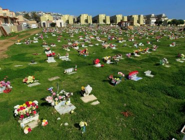Cementerios podrán funcionar en todas las etapas tras cambios al plan «Paso a Paso»