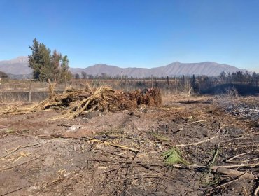 Conaf y Carabineros paralizan quema ilegal en el sector Santa Teresa de Llay Llay