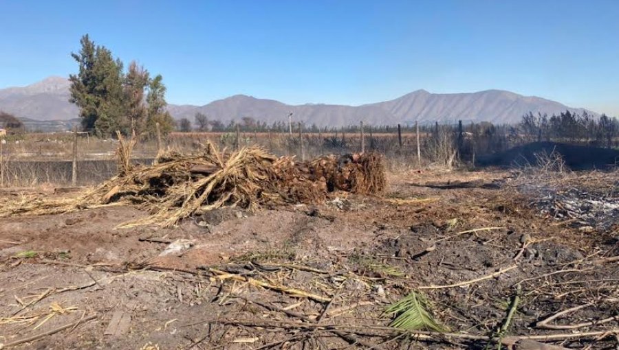 Conaf y Carabineros paralizan quema ilegal en el sector Santa Teresa de Llay Llay