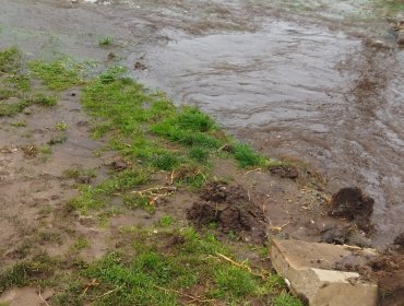 Rotura de matriz inunda calle y provoca cortes de suministro de agua en sectores de Concón