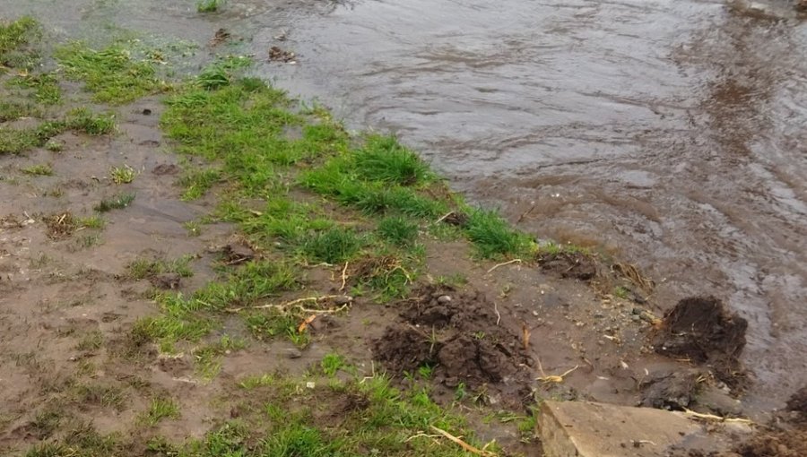 Rotura de matriz inunda calle y provoca cortes de suministro de agua en sectores de Concón