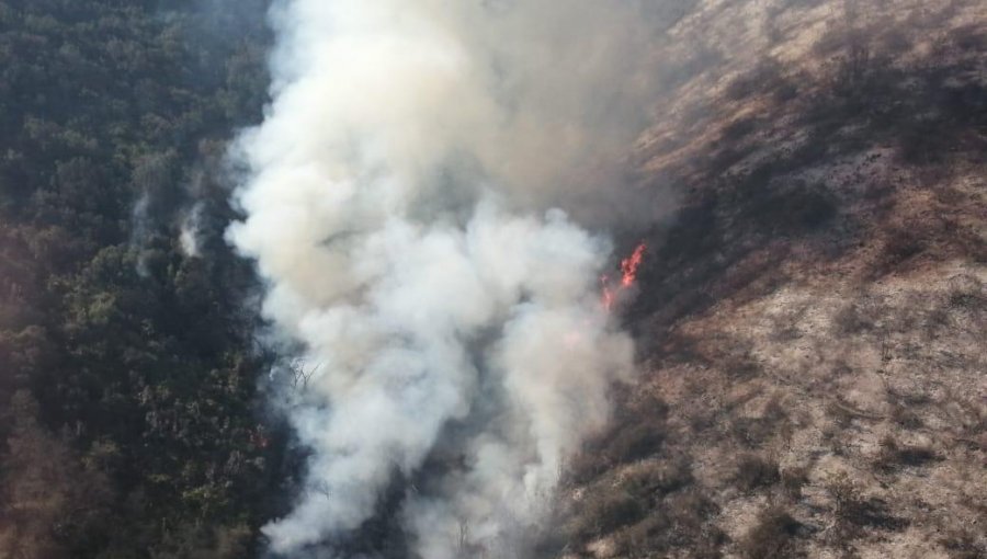 200 hectáreas han consumido los incendios forestales en La Ligua: se mantiene la Alerta Amarilla