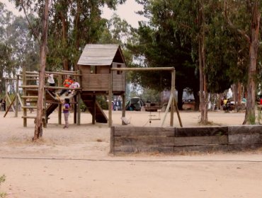 Parques Quebrada Verde y Quintil de Valparaíso reabrieron sus puertas para recibir a visitantes