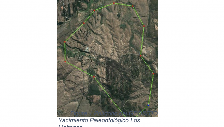 Estudio concluye que proyecto de ampliación de la ruta Nogales - Puchuncaví intervino sin autorización el bosque nativo de preservación