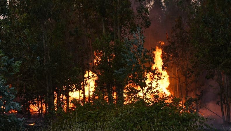 Incendios forestales en La Ligua han consumido al menos 220 hectáreas: mantienen la Alerta Amarilla comunal