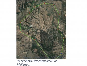 Estudio concluye que proyecto de ampliación de la ruta Nogales - Puchuncaví intervino sin autorización el bosque nativo de preservación