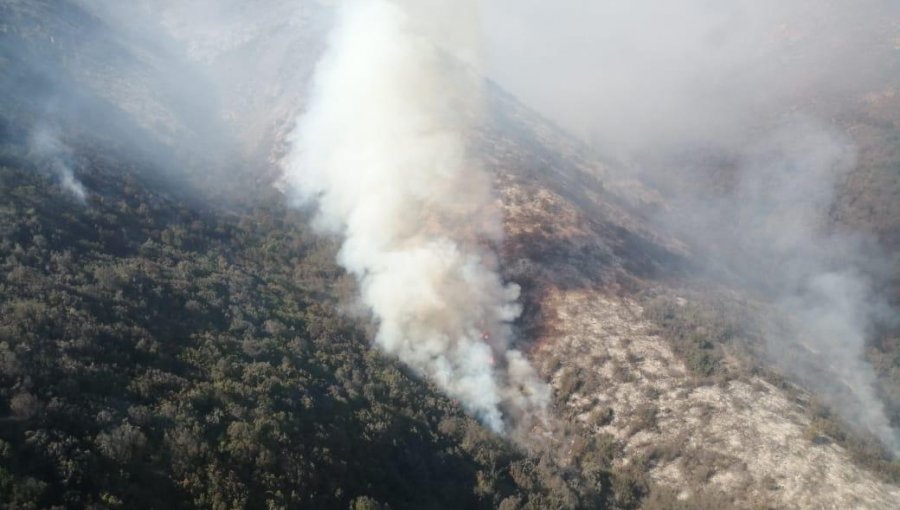 Controlan los complejos incendios forestales que consumieron más de 230 hectáreas en La Ligua