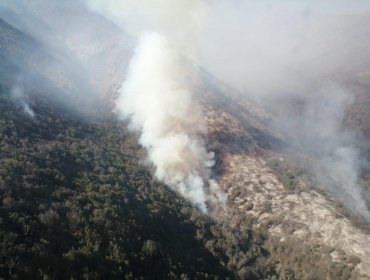 Controlan los complejos incendios forestales que consumieron más de 230 hectáreas en La Ligua