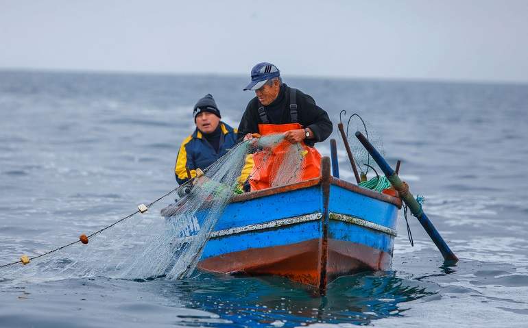 Gobierno asegura estar trabajando en un "plan especial" para pescadores que quedaron sin Bono Pyme