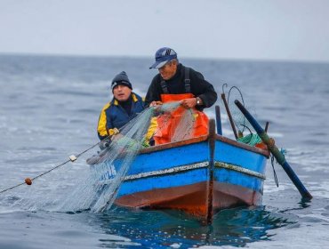 Gobierno asegura estar trabajando en un "plan especial" para pescadores que quedaron sin Bono Pyme