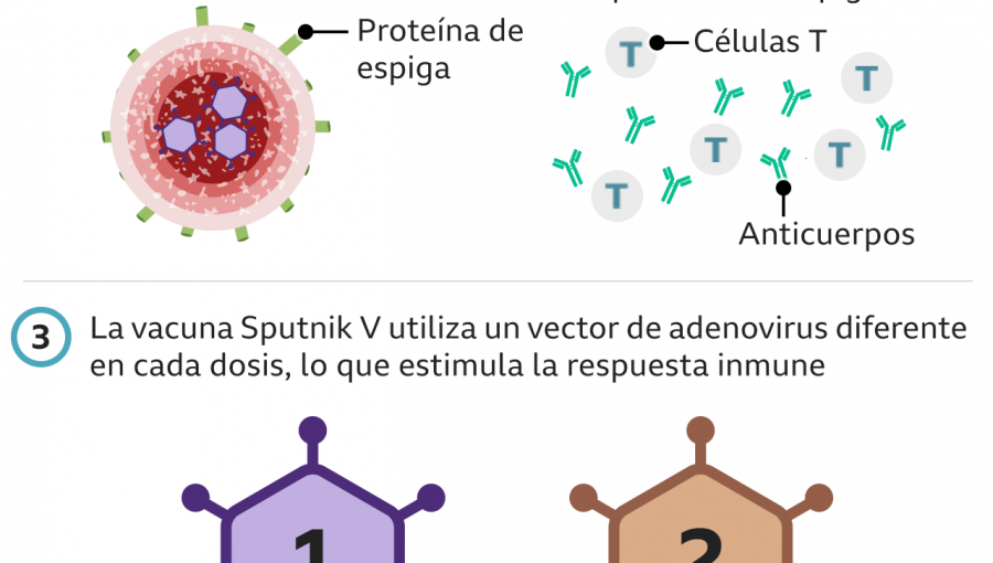 Por qué hay escasez de la vacuna Sputnik V y qué pasa con quienes recibieron la primera dosis y no pueden acceder a la segunda