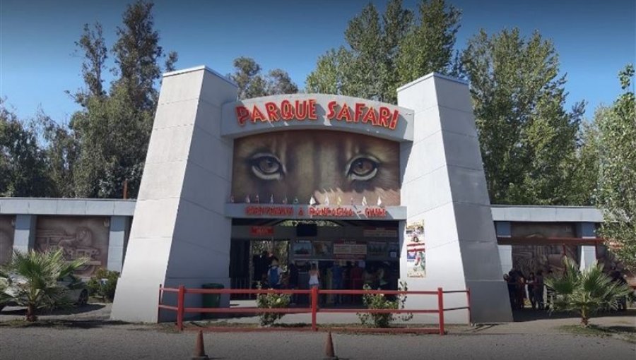 Trabajadores acusan "negligencia" tras muerte de joven atacada por un tigre en el Parque Safari de Rancagua