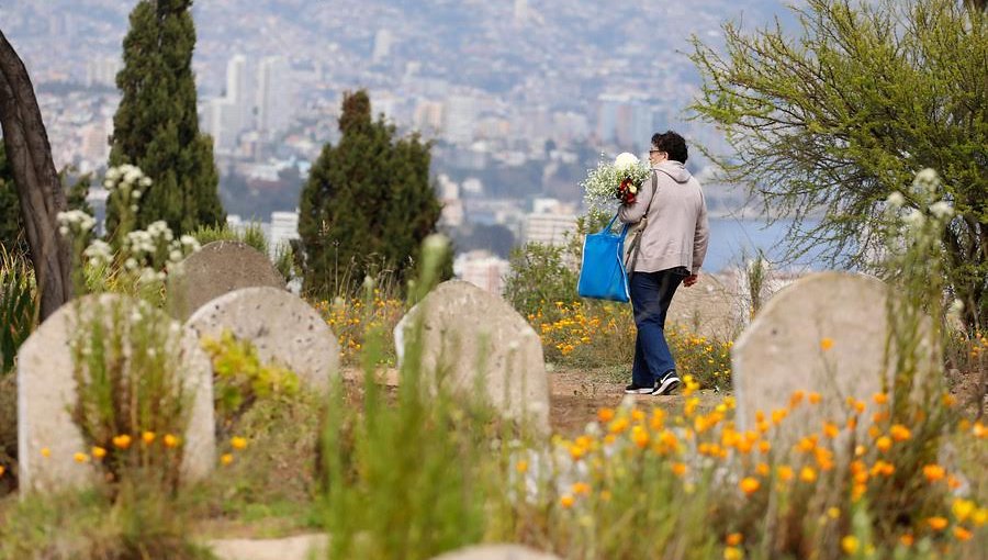 Familia viñamarina denuncia hurto y exhumación de cadáveres en el cementerio de Santa Inés