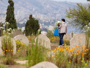 Familia viñamarina denuncia hurto y exhumación de cadáveres en el cementerio de Santa Inés