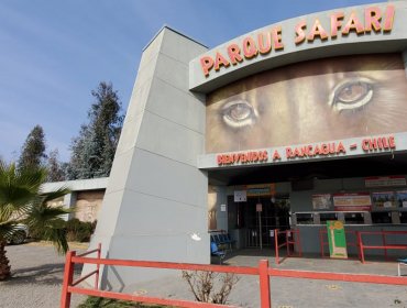 Madre de fallecida en Parque Safari: “Amaba a los animales, especialmente los felinos"