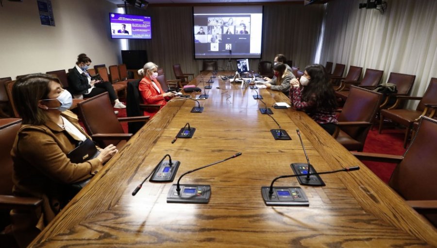 Comisión de Mujeres de la Cámara de Diputados rechaza idea de legislar sobre la despenalización del aborto