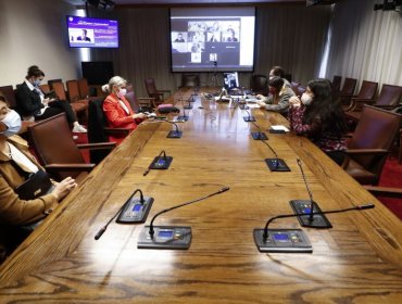 Comisión de Mujeres de la Cámara de Diputados rechaza idea de legislar sobre la despenalización del aborto