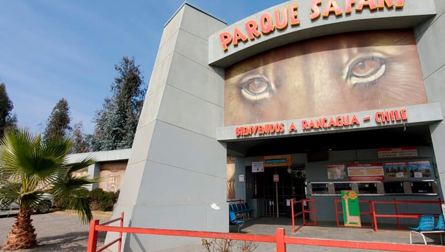 Parque Safari de Rancagua fue suspendido de forma indefinida tras muerte de trabajadora por ataque de un tigre