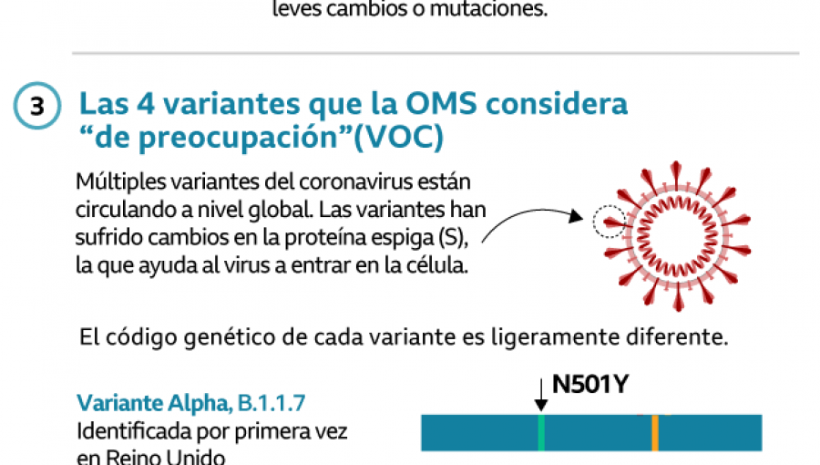 Variante Delta: Ocho respuestas sobre la modificación más contagiosa del coronavirus
