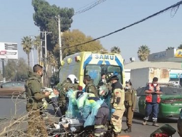Asaltante muere tras ser arrollado por conductor de Transantiago al que quiso robar en Puente Alto