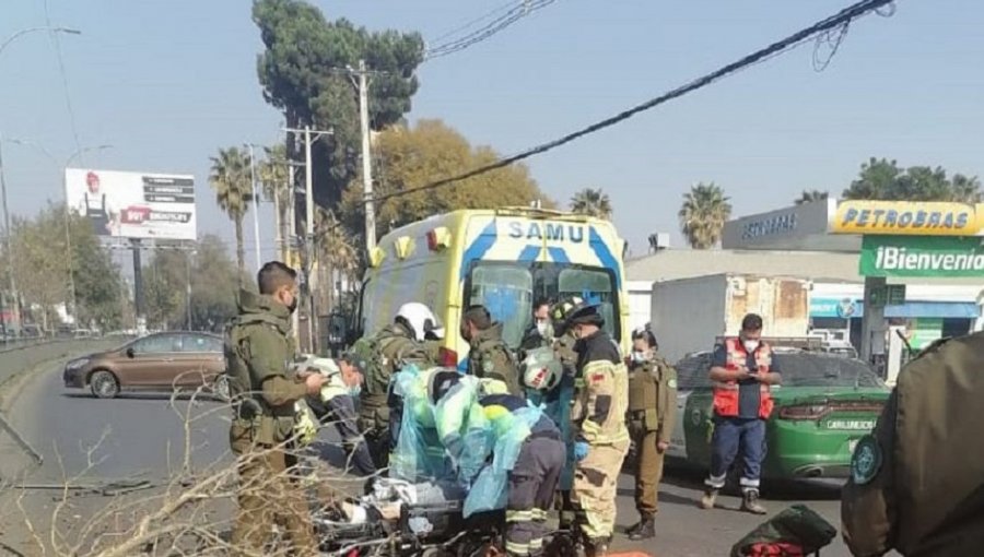 Asaltante muere tras ser arrollado por conductor de Transantiago al que quiso robar en Puente Alto