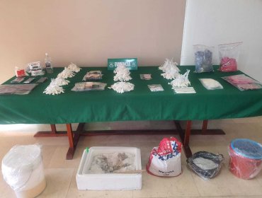 Detienen a cuatro personas acusadas de internar drogas a Chile para distribuirla en diferentes poblaciones de Iquique