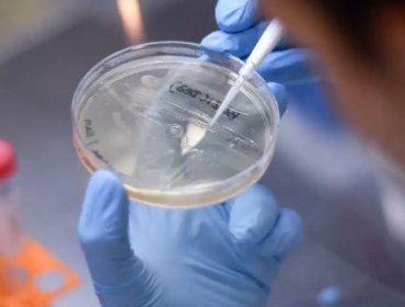 Laboratorio de Biología Molecular de Quillota puede detectar variante Delta del coronavirus