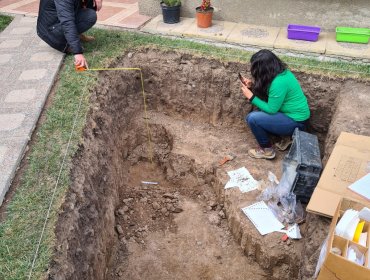 Encuentran cráneo humano mientras se efectuaban labores de excavación para construir una piscina en Quillota