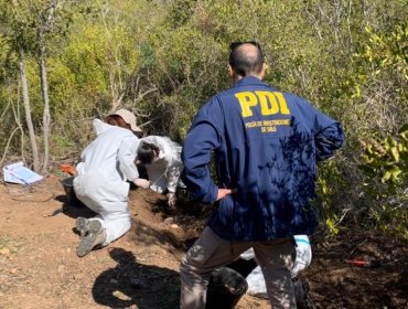 Encuentran cadáver de un hombre en una fosa cercana a una plantación de marihuana en Canela