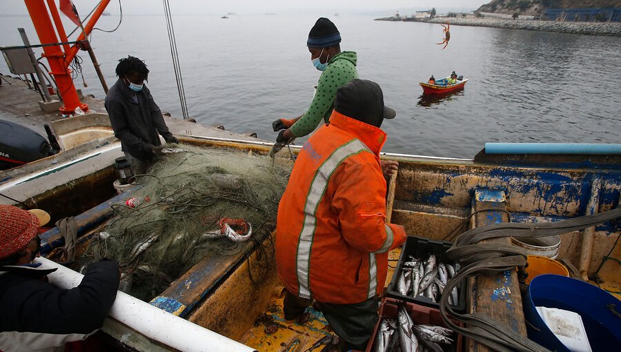 Cámara aprueba proyecto que incluye a pescadores artesanales al Bono Pyme: Gobierno hizo reserva de constitucionalidad