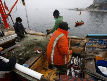 Cámara aprueba proyecto que incluye a pescadores artesanales al Bono Pyme: Gobierno hizo reserva de constitucionalidad