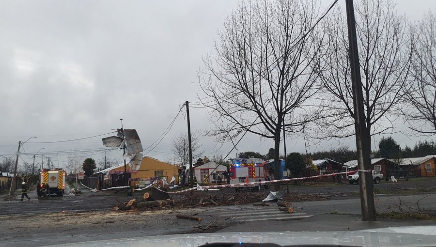 Al menos 20 viviendas resultan con daños tras paso de supuesto "tornado" en Tucapel