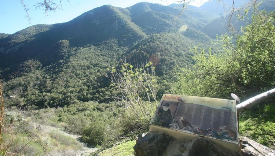 Conaf y Municipalidad de Olmué suscriben convenio para la protección del medio ambiente