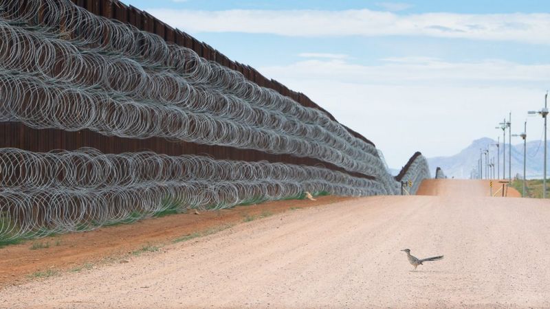 La imagen de un "correcaminos" en el muro fronterizo entre EE.UU. y México gana un prestigioso concurso de fotografía