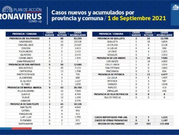 Conozca de qué comunas son los 27 casos nuevos de coronavirus en la región de Valparaíso