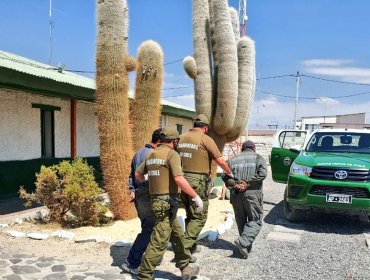 Detienen a nueve ciudadanos bolivianos acusados de tráfico de migrantes en Pisiga Choque