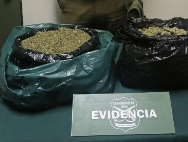 Un adulto y dos adolescentes fueron detenidos tras ser sorprendidos portando 2 kilos de marihuana en Petorca